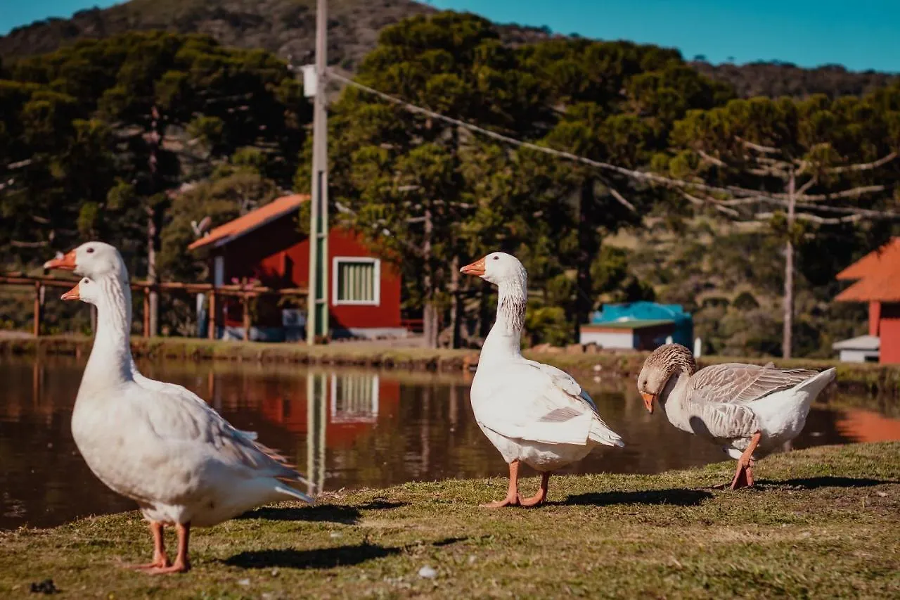 Pousada Lago Da Colina Urubici Kro